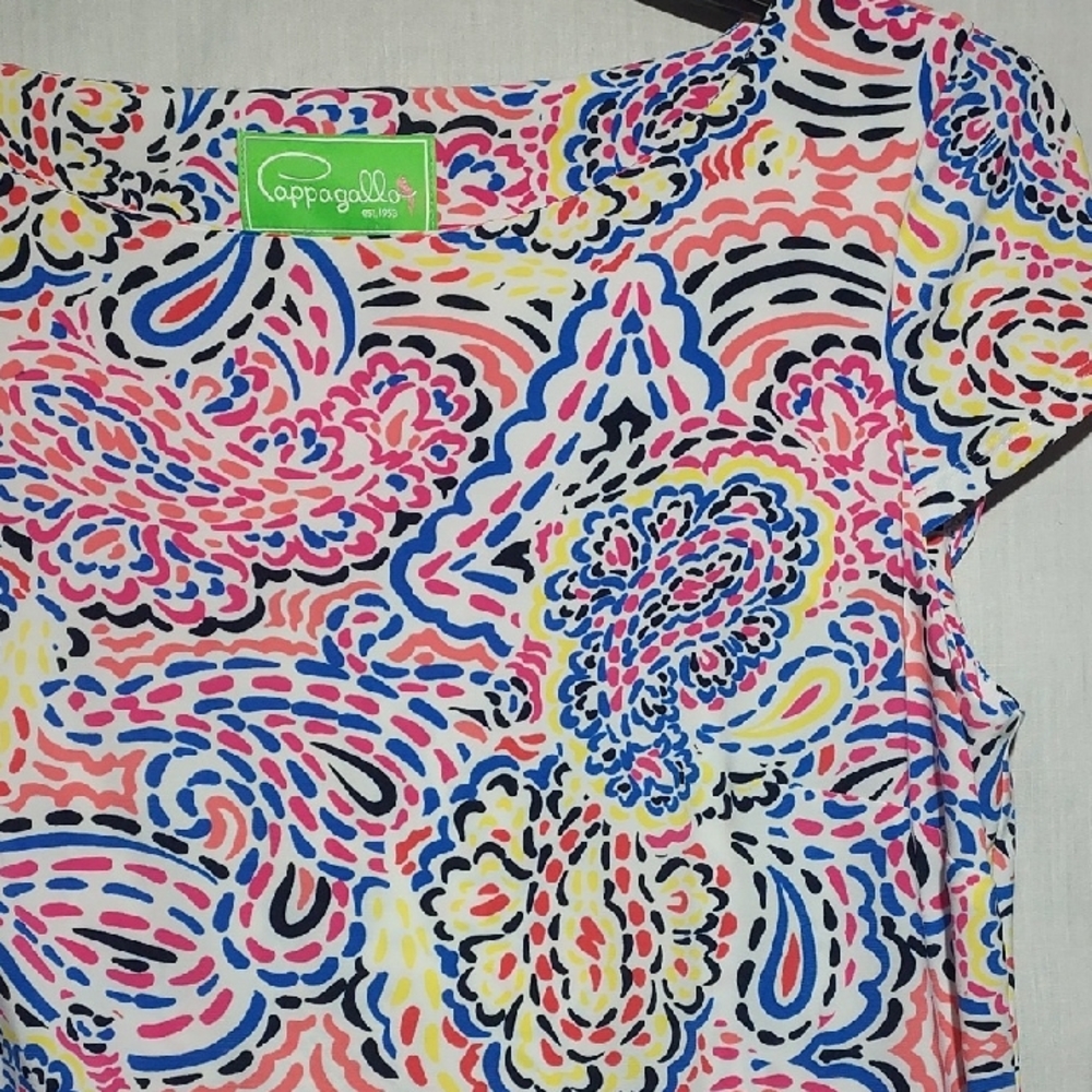 Pappagallo Shift Dress Paisley Sleeveless Stretchy Lightweight Womens Size Large